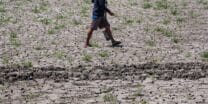 Parched land-El Niño
