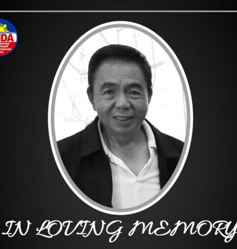 Bayani Fernando (Photo: MMDA)