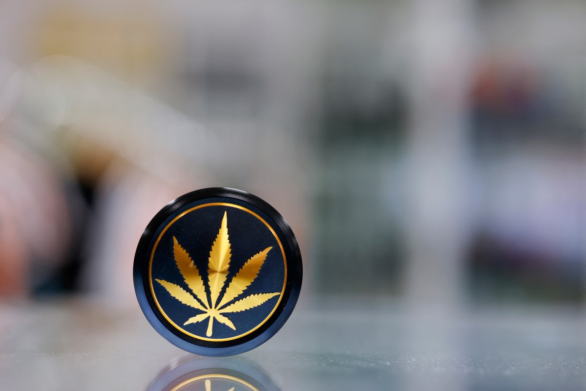 Cannabis (via Agence France-Presse)