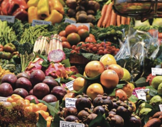 DTI orders price freeze amid typhoon