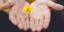 Are we forgetting the importance of kindness?