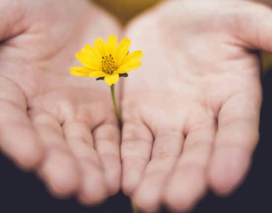 Are we forgetting the importance of kindness?