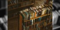 Exploring diverse intelligences: which one do you excel in?
