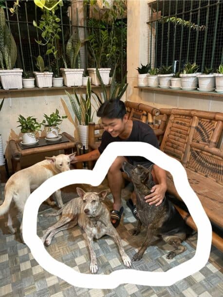Help this family find their pets swept away by Tropical Storm Kristine