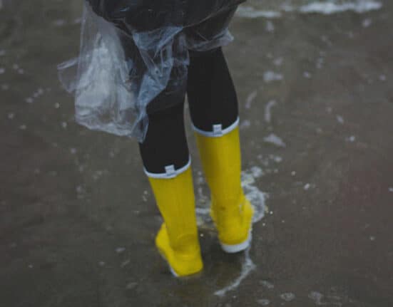 Help this family find their pets swept away by Tropical Storm Kristine