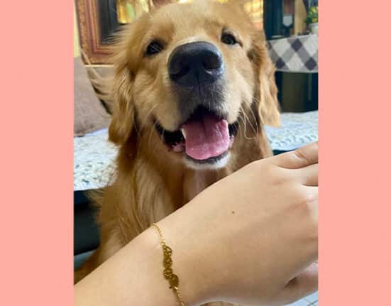 Non-profit organization for animals sells accessories for a cause