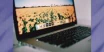 Users disappointed after Adobe execs say you can't compete without using AI