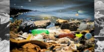 Small steps, big impact: The long-standing battle against plastic pollution