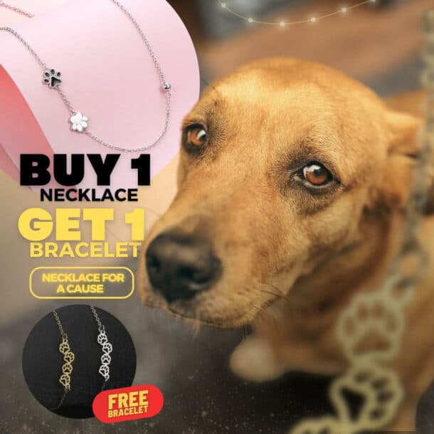 Non-profit organization for animals sells accessories for a cause