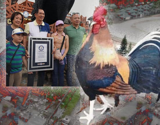 Philippines becomes home to world's largest chicken-shaped building