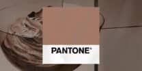 Mocha Mousse is Pantone’s Color of the Year for 2025