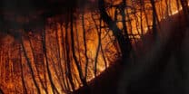South Korea: Death toll in 'worst ever' wildfires rises to 24 | RepublicAsia