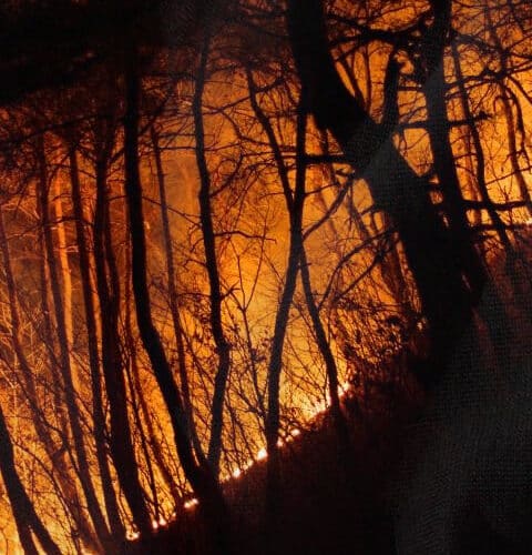 South Korea: Death toll in 'worst ever' wildfires rises to 24 | RepublicAsia