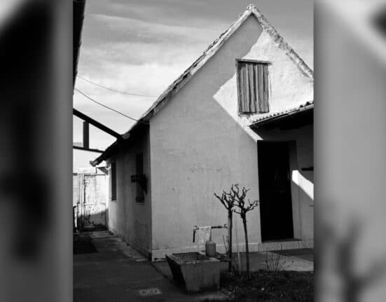 Living Alone: The Yearnings and Realizations