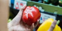 Grocery Girl Era