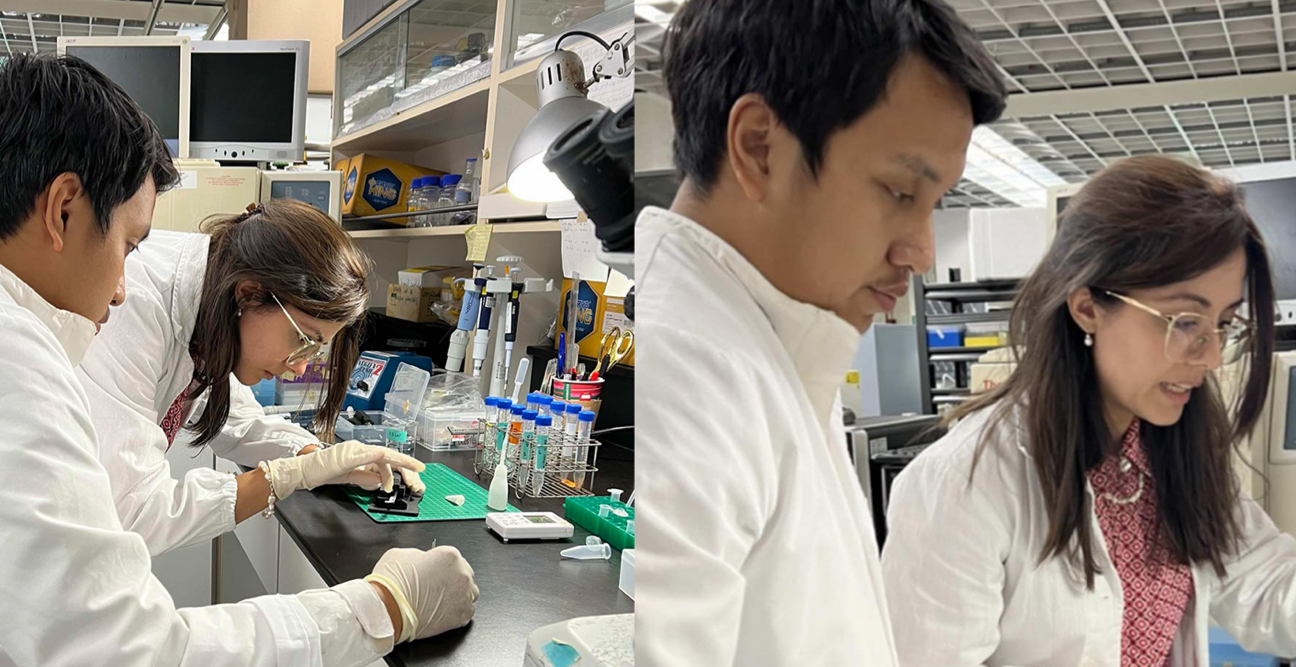 THE University of the Philippines Marine Science Institute (MSI) will soon open the country’s first coral larvae cryobank at its Bolinao Marine Laboratory in Pangasinan, a major step in protecting the nation’s coral reefs.