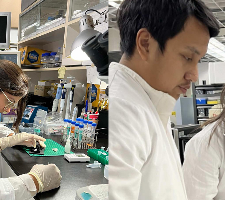THE University of the Philippines Marine Science Institute (MSI) will soon open the country’s first coral larvae cryobank at its Bolinao Marine Laboratory in Pangasinan, a major step in protecting the nation’s coral reefs.